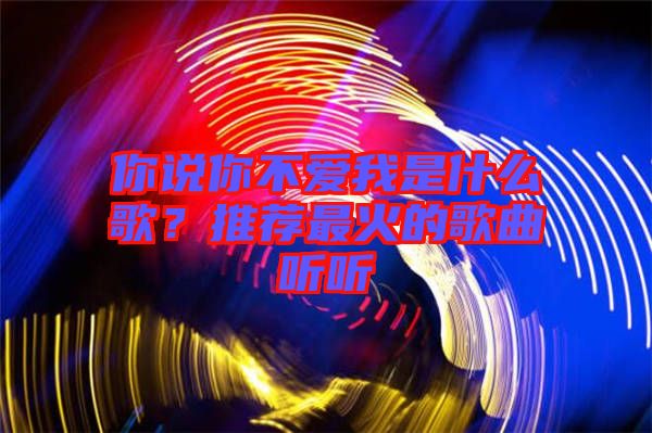 你說(shuō)你不愛我是什么歌？推薦最火的歌曲聽聽