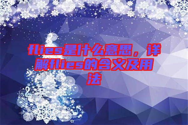 flies是什么意思，詳解flies的含義及用法