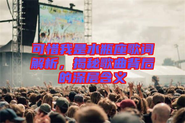 可惜我是水瓶座歌詞解析，揭秘歌曲背后的深層含義