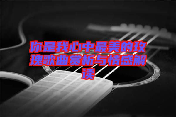 你是我心中最美的玫瑰歌曲賞析與情感解讀