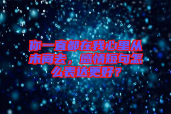 你一直都在我心里從未離去，感情短句怎么表達(dá)更好？