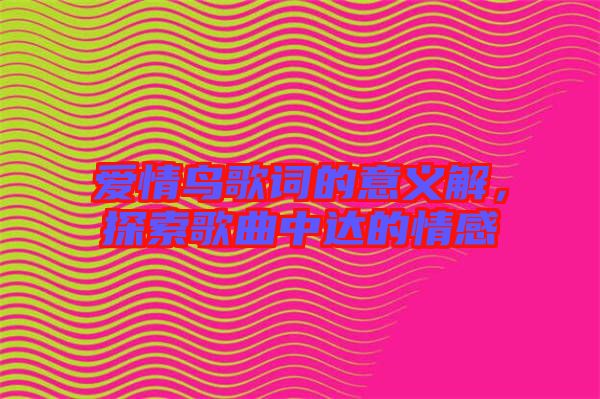 愛情鳥歌詞的意義解，探索歌曲中達的情感