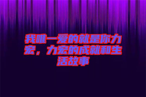 我唯一愛的就是你力宏，力宏的成就和生活故事