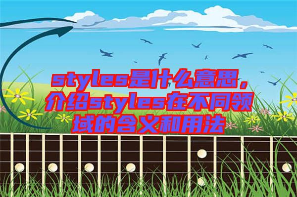 styles是什么意思，介紹styles在不同領(lǐng)域的含義和用法