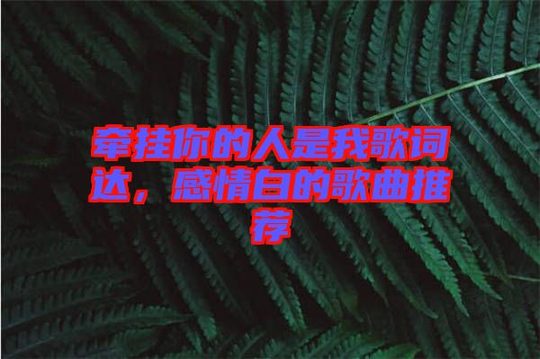 牽掛你的人是我歌詞達，感情白的歌曲推薦