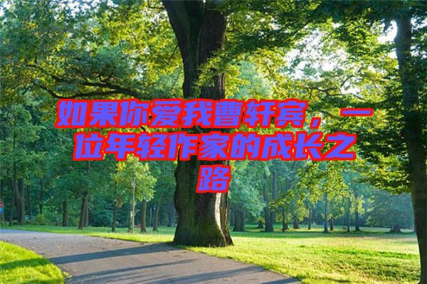 如果你愛我曹軒賓，一位年輕作家的成長之路