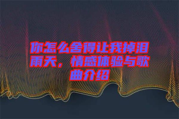 你怎么舍得讓我掉淚雨天，情感體驗(yàn)與歌曲介紹