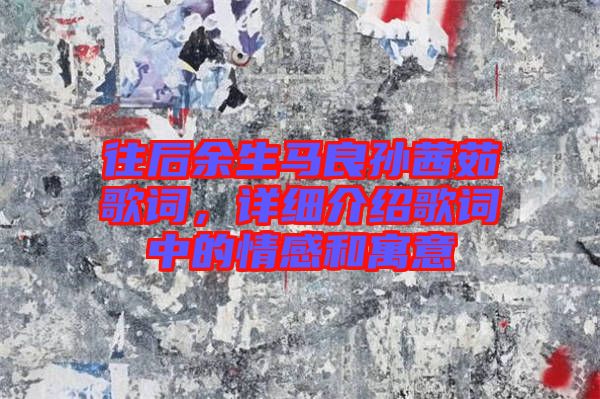 往后余生馬良孫茜茹歌詞，詳細(xì)介紹歌詞中的情感和寓意