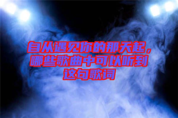 自從遇見你的那天起，哪些歌曲中可以聽到這句歌詞