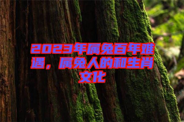 2023年屬兔百年難遇，屬兔人的和生肖文化