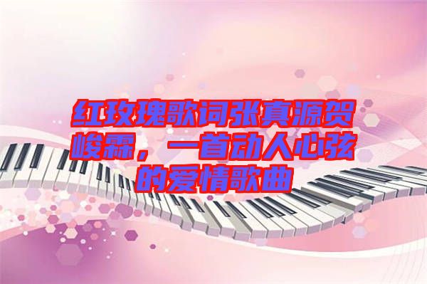 紅玫瑰歌詞張真源賀峻霖，一首動人心弦的愛情歌曲