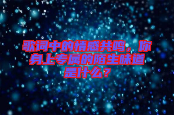 歌詞中的情感共鳴，你身上專屬的陌生味道是什么？