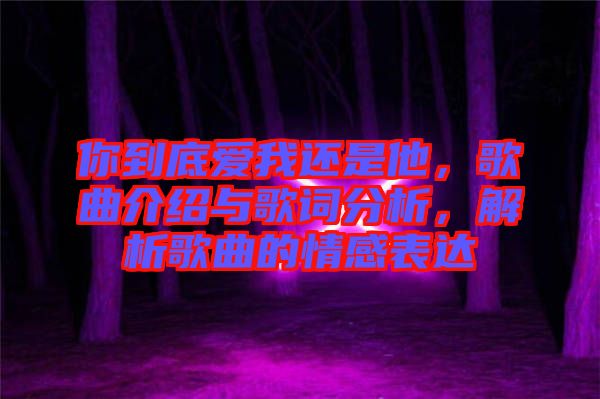 你到底愛(ài)我還是他，歌曲介紹與歌詞分析，解析歌曲的情感表達(dá)