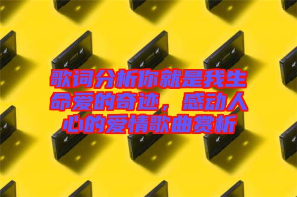 歌詞分析你就是我生命愛的奇跡，感動(dòng)人心的愛情歌曲賞析