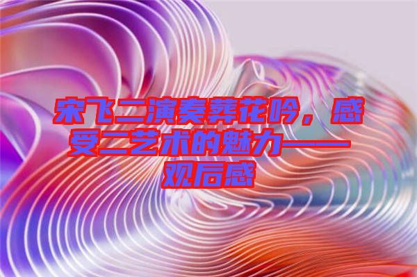 宋飛二演奏葬花吟，感受二藝術(shù)的魅力——觀后感