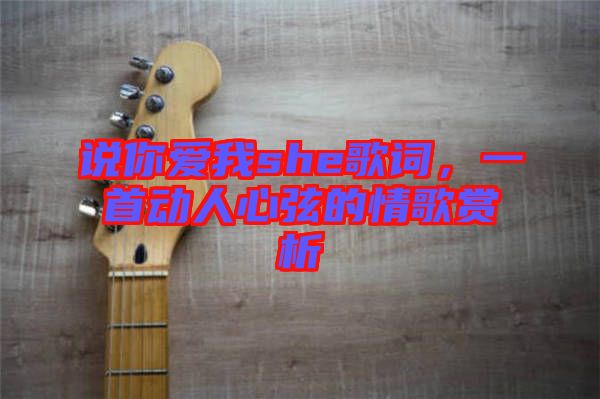 說你愛我she歌詞，一首動人心弦的情歌賞析