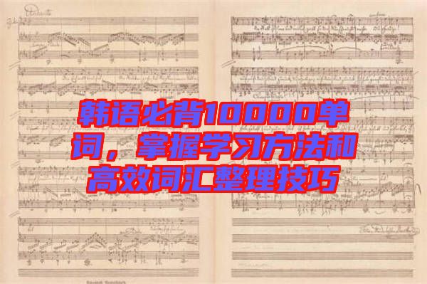 韓語(yǔ)必背10000單詞，掌握學(xué)習(xí)方法和高效詞匯整理技巧