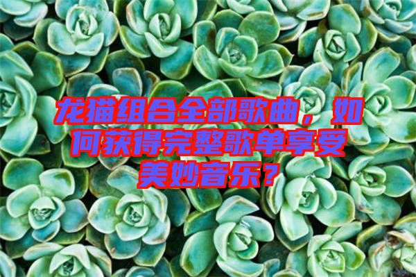 龍貓組合全部歌曲，如何獲得完整歌單享受美妙音樂(lè)？