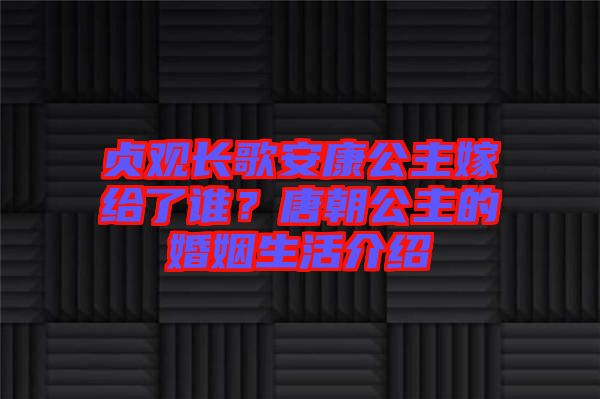 貞觀長(zhǎng)歌安康公主嫁給了誰(shuí)？唐朝公主的婚姻生活介紹