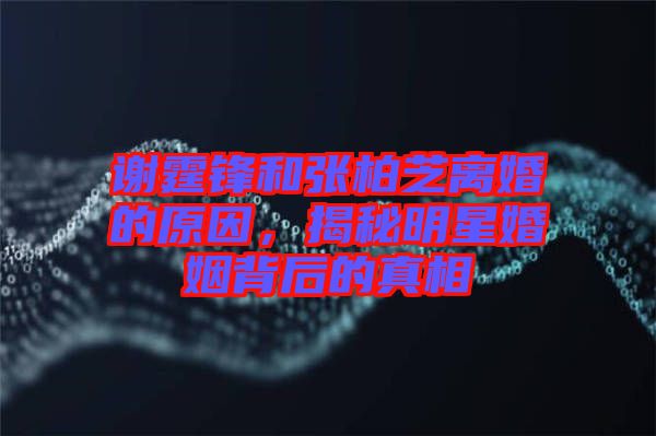 謝霆鋒和張柏芝離婚的原因，揭秘明星婚姻背后的真相