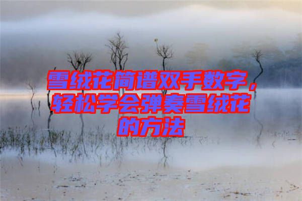 雪絨花簡(jiǎn)譜雙手?jǐn)?shù)字，輕松學(xué)會(huì)彈奏雪絨花的方法