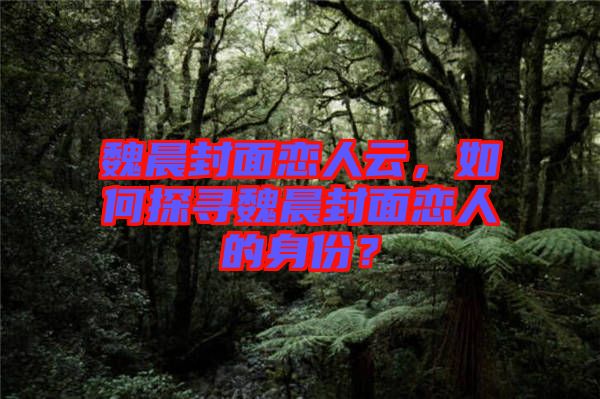 魏晨封面戀人云，如何探尋魏晨封面戀人的身份？