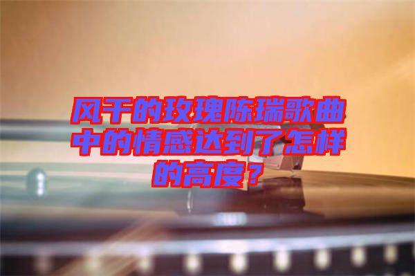 風(fēng)干的玫瑰陳瑞歌曲中的情感達(dá)到了怎樣的高度？