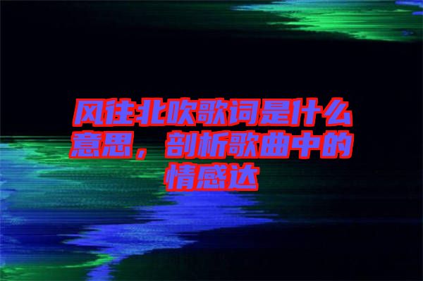 風往北吹歌詞是什么意思，剖析歌曲中的情感達