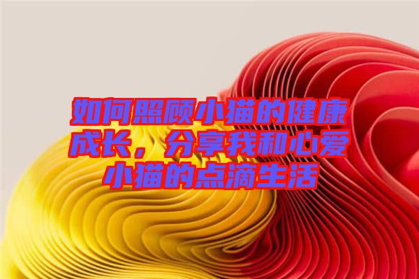 如何照顧小貓的健康成長，分享我和心愛小貓的點(diǎn)滴生活