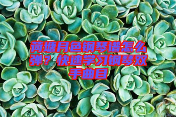 荷塘月色鋼琴譜怎么彈？快速學(xué)習(xí)鋼琴雙手曲目