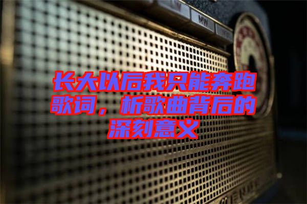 長大以后我只能奔跑歌詞，析歌曲背后的深刻意義